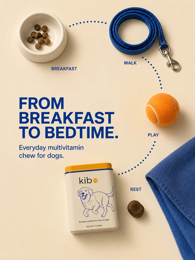 Kibo Story ad showing a daily dog routine map and the multivitamin tin lying flat