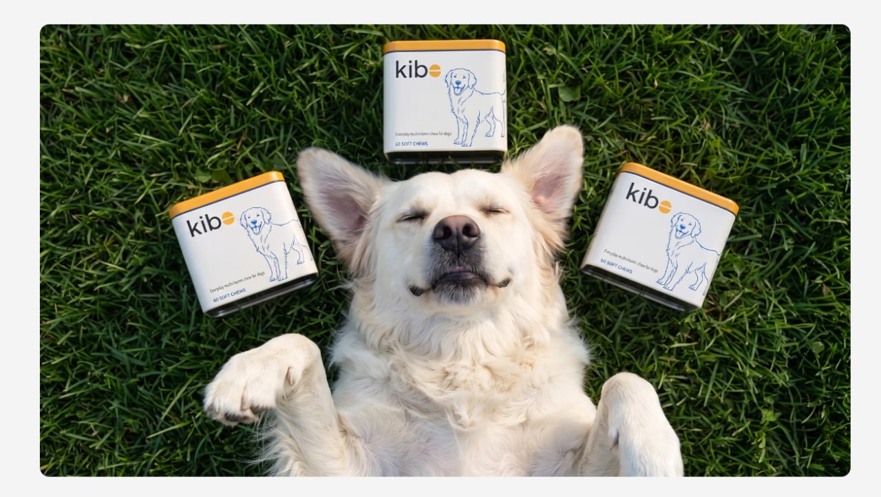 Kibo pet supplements campaign study